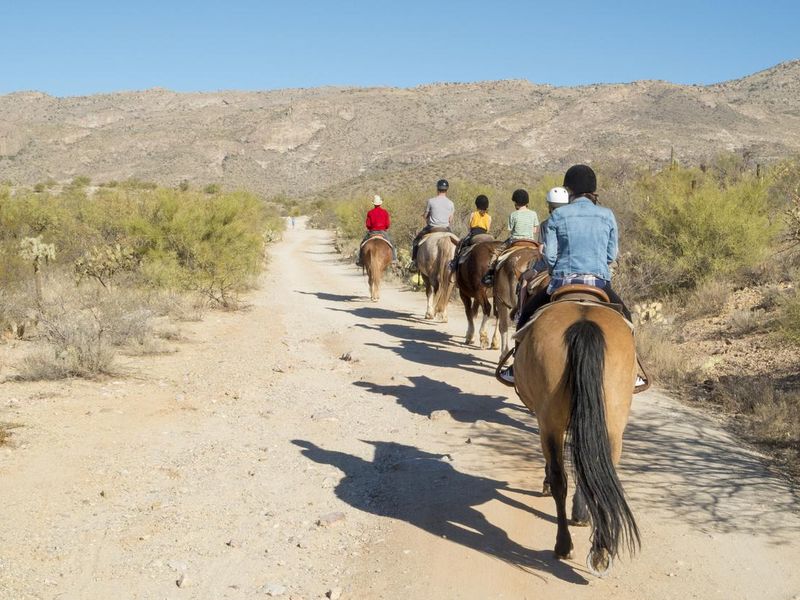 Family on a Trail Ride in Arizona Desert
