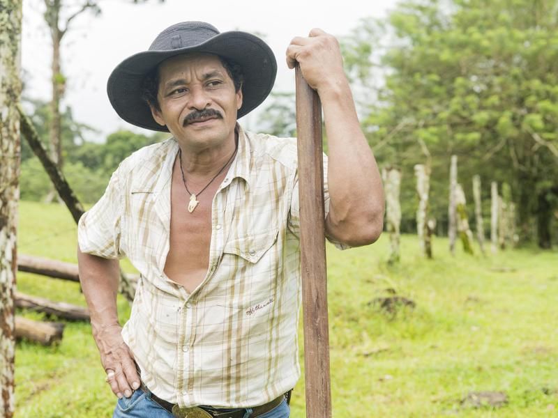 Farmer in Costa Rica