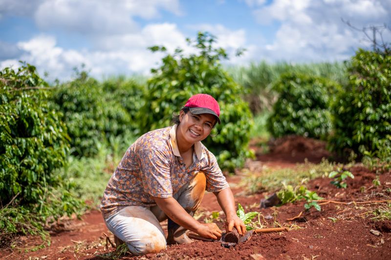 Farmer woman planting coffee