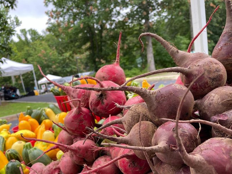 Farmers market at Princeton Junction