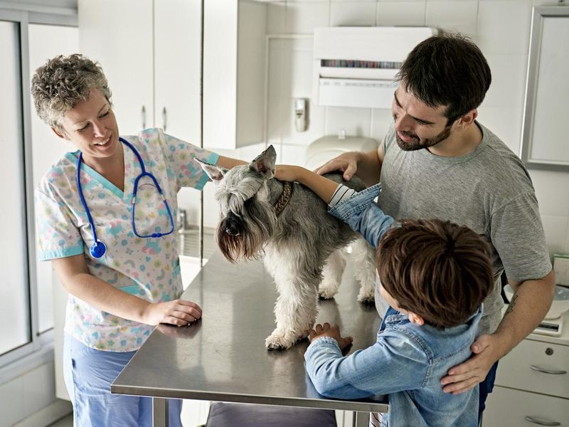 Father and son with schnauzer during annual vet visit