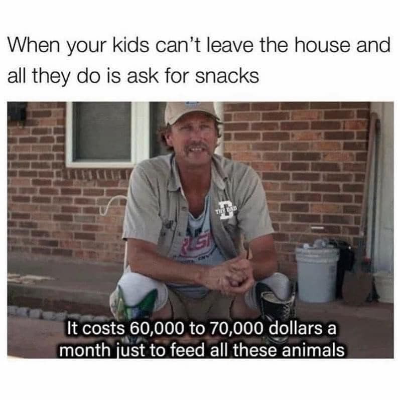 Feeding kids meme