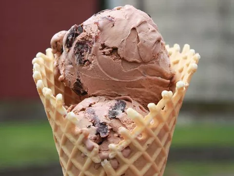 New Jersey's 51 greatest ice cream shops, ranked 