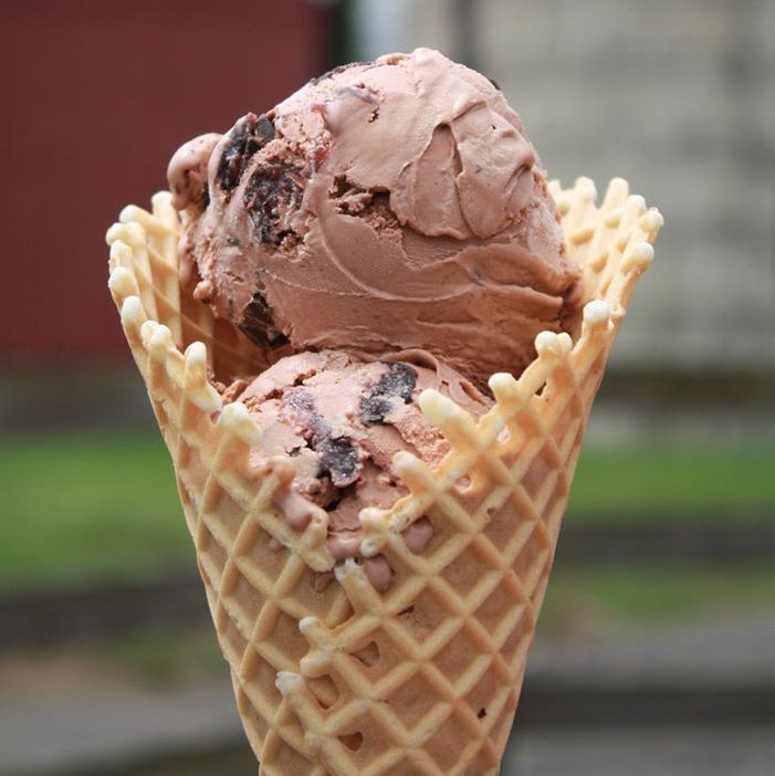 Rating Bellingham's homegrown ice cream