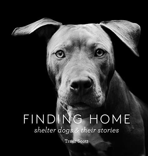 Finding Home shelter dog story