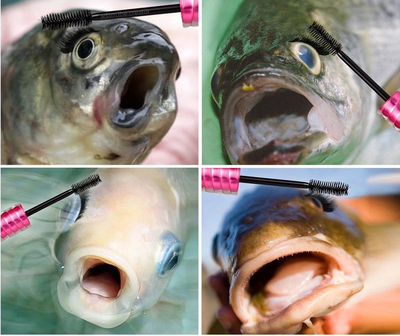 50 Fish Memes That Will Have You Reeling With Laughter