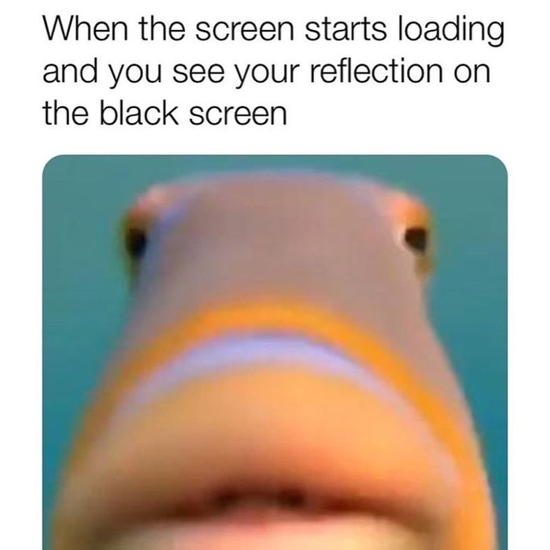 Fish phone memes