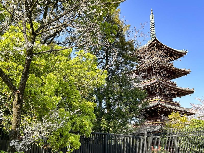 Fivefold Pagoda of Kaneiji Temple in Ueno, Tokyo, Japan