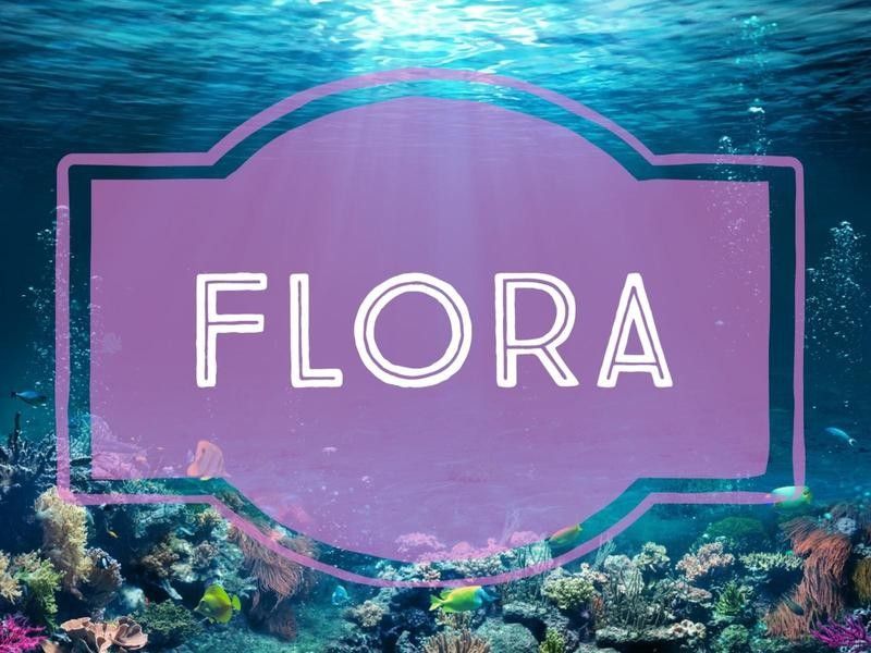 Flora nature-inspired baby name