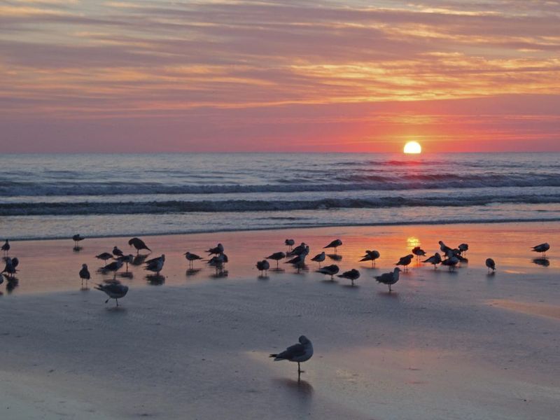 Florida Atlantic Sunrise