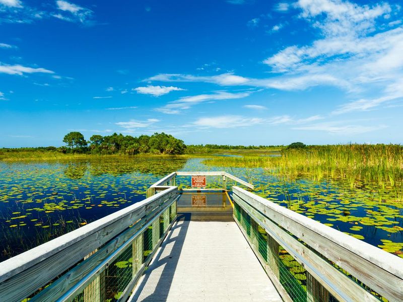 Florida Nature Preserve in Port St. Lucie