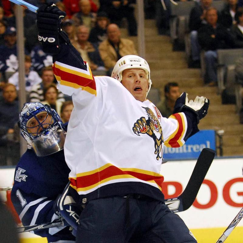 Florida Panther Gary Roberts hit into Toronto Maple Leafs goalie Andrew Raycroft