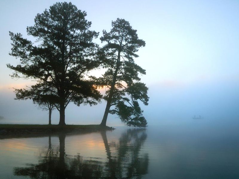 Foggy morning on Guntersville Lake