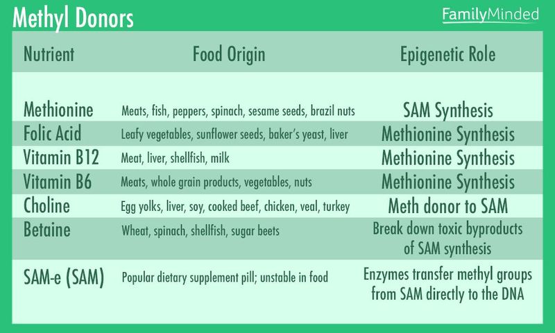 Foods that are good methyl donors