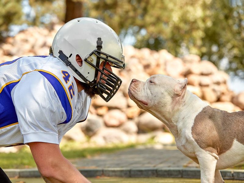Football player and his dog