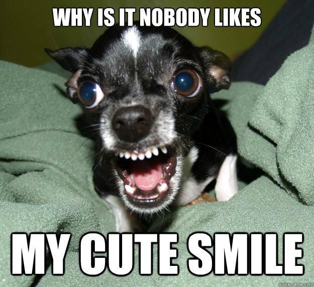 Freaky dog smile