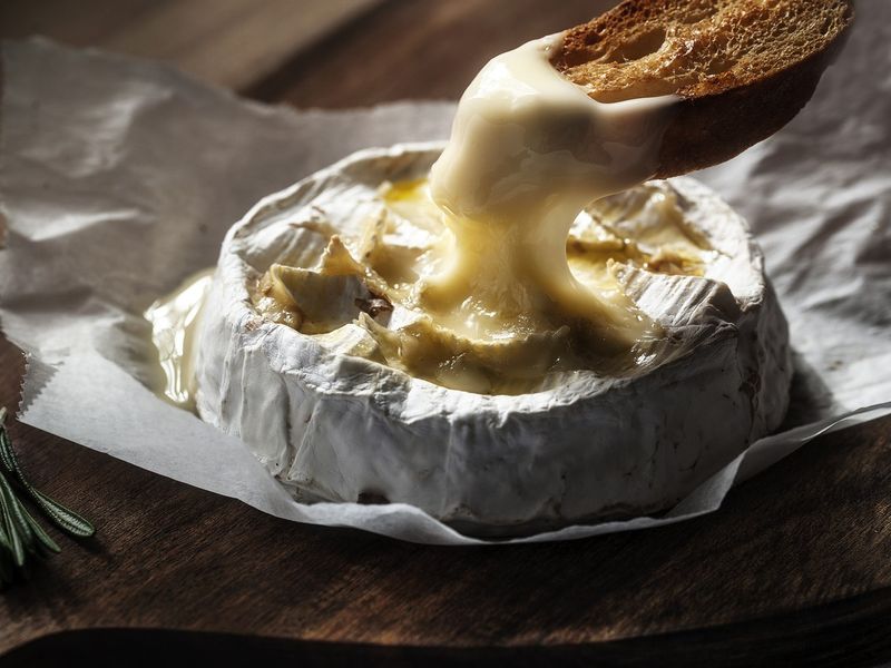 french camembert cheese
