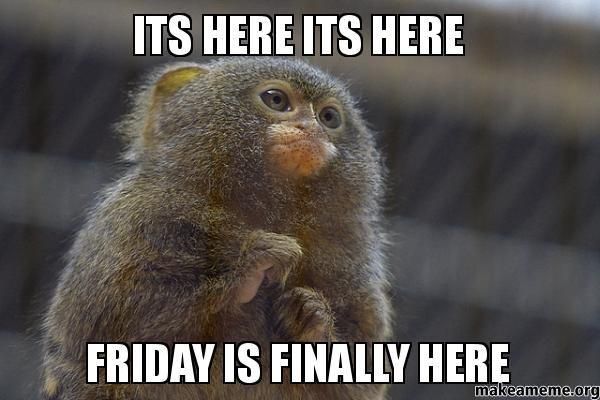 Friday is here meme