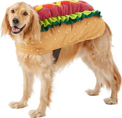 Frisco hot dog dog costume