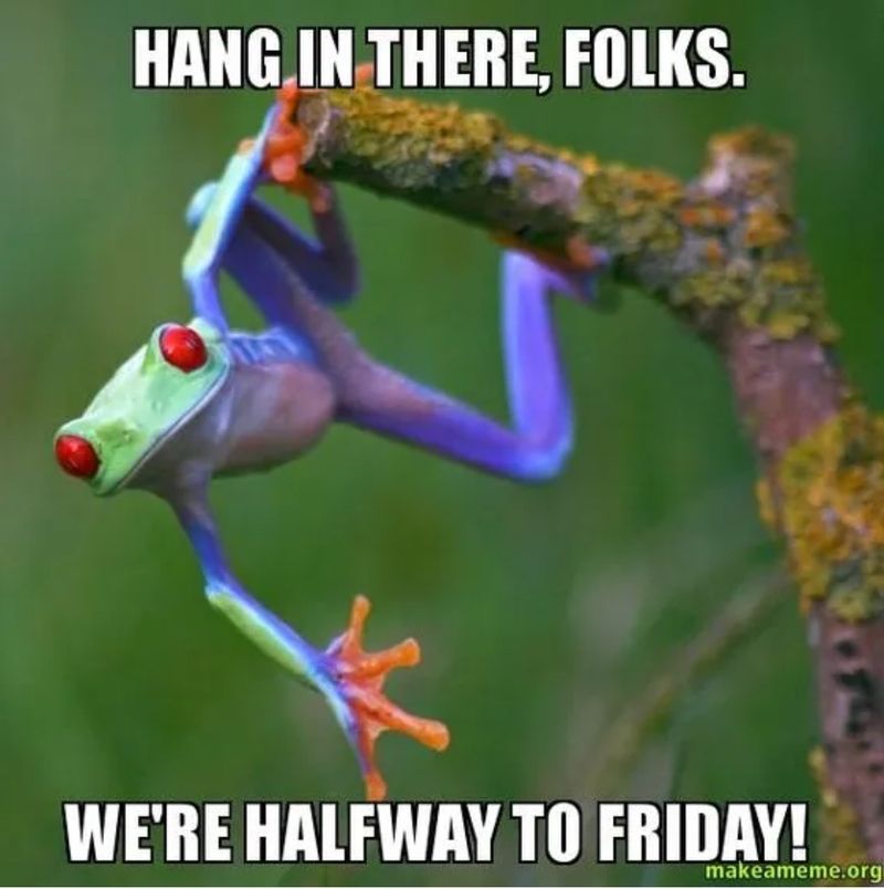 Frog Wednesday memes