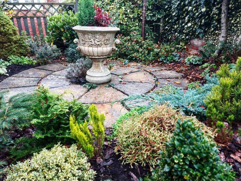Front garden with bushes and large pot