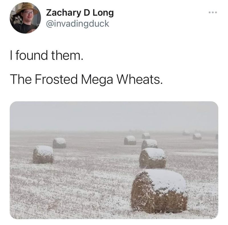 Frosted Mega Wheats meme