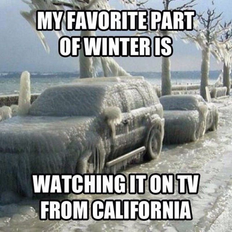 Frozen cars winter meme