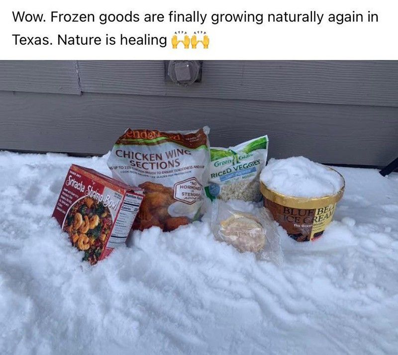 Frozen food in the snow meme