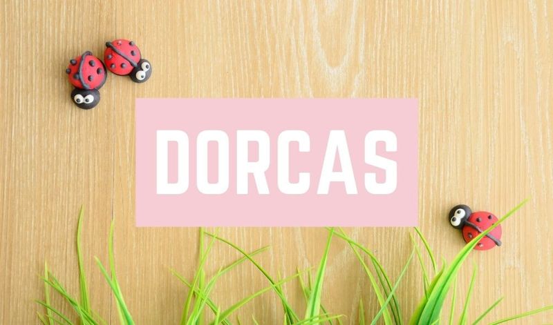 Funny Baby Names: Dorcas