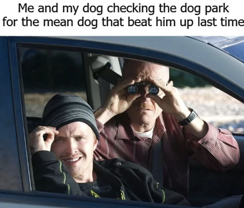 Funny dog park meme