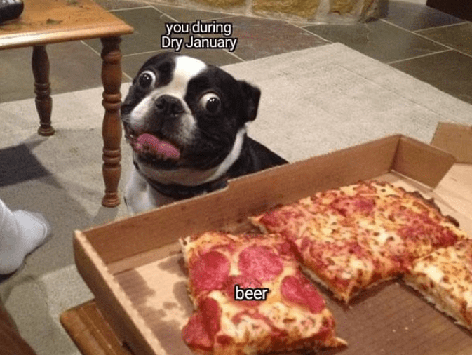 Funny dry January meme of a dog looking at pizza