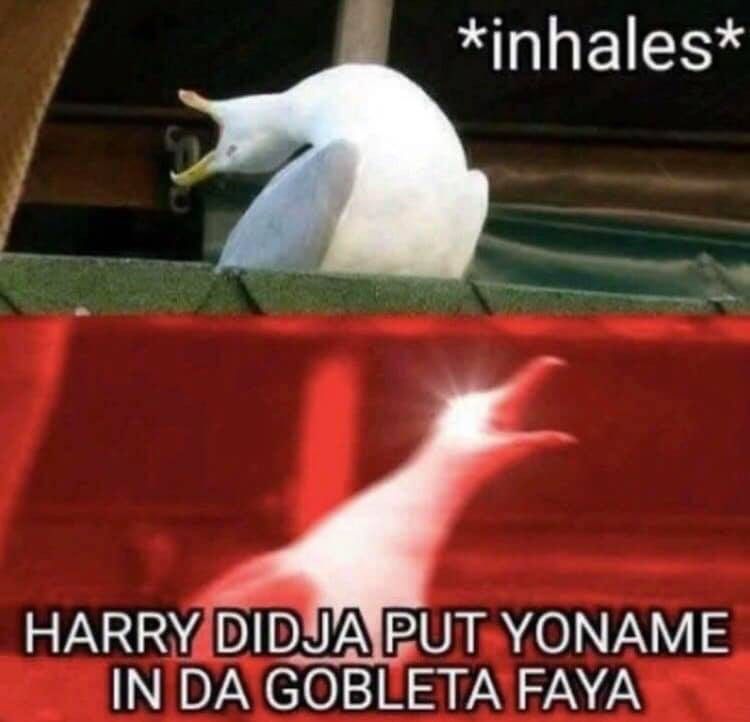 Funny Dumbledore meme