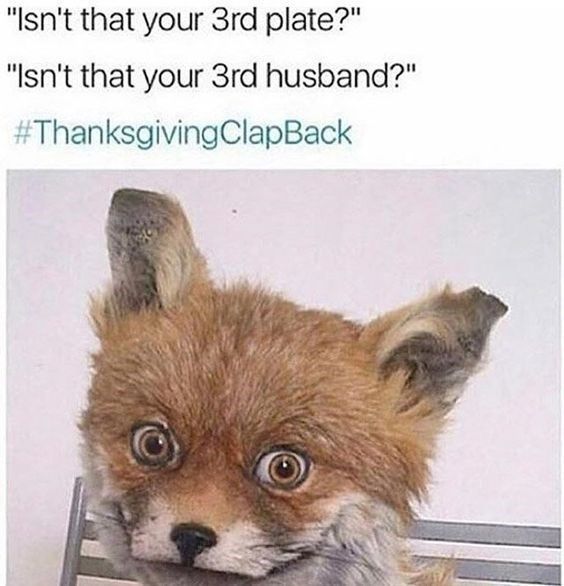Funny fox meme