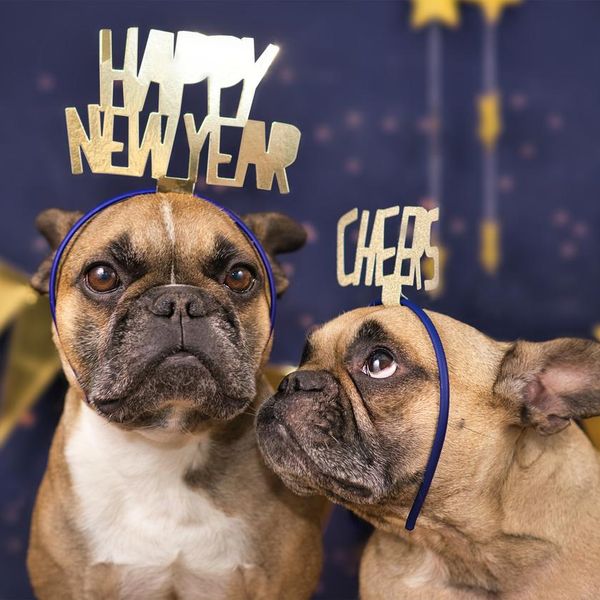 Funny Dog New Year's Resolutions by Breed
