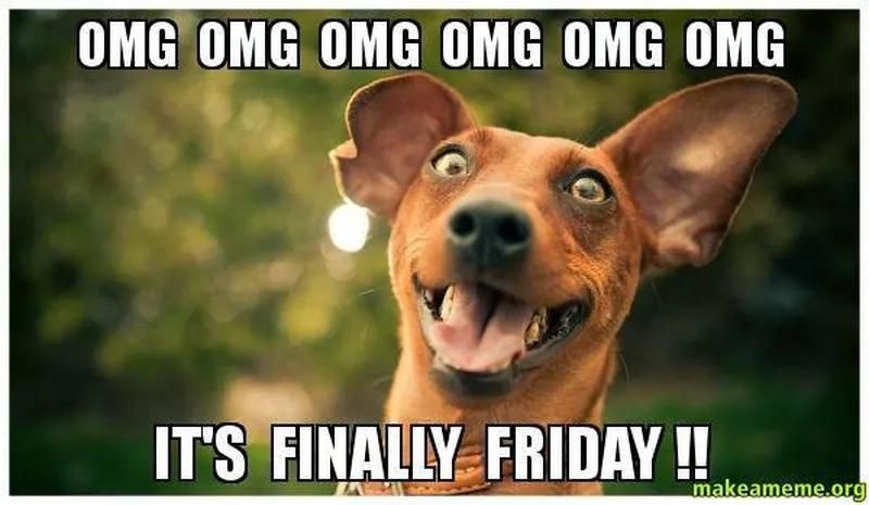 Funny Friday dog meme