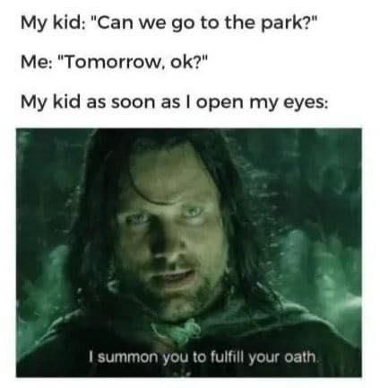 Funny parenting meme about going to the park