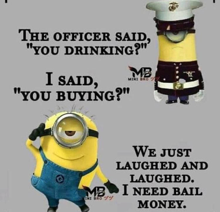 Funny police officer minion meme