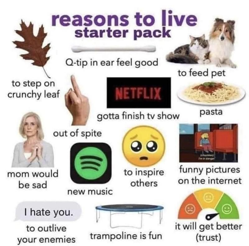 Funny reasons to live