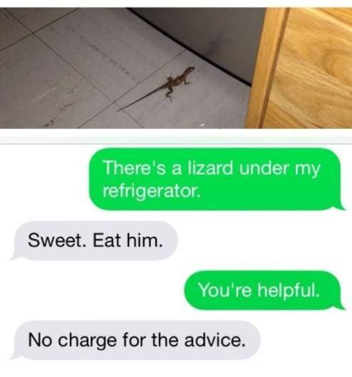 Funny texts from mom about lizard
