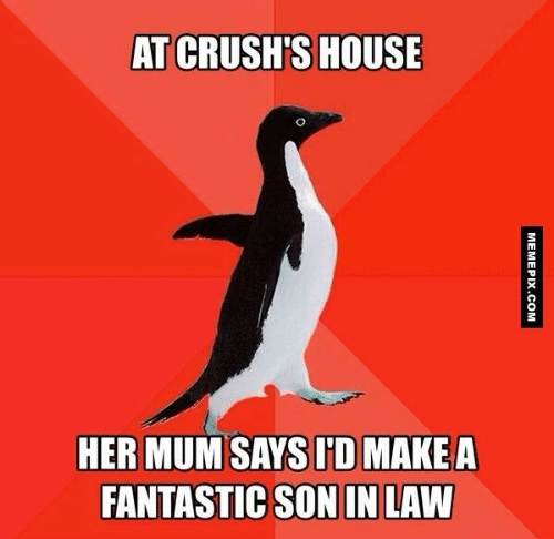 future son in law
