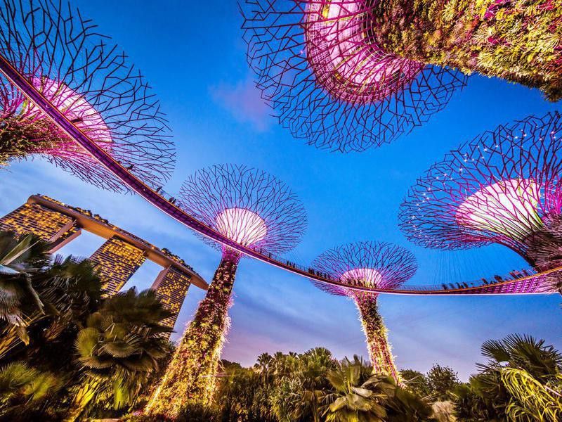 Gardens By the Bay in Singapore