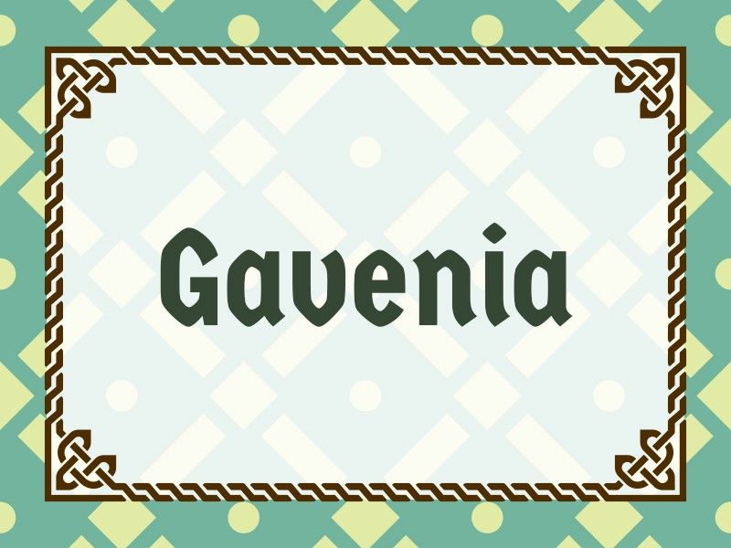 Gavenia