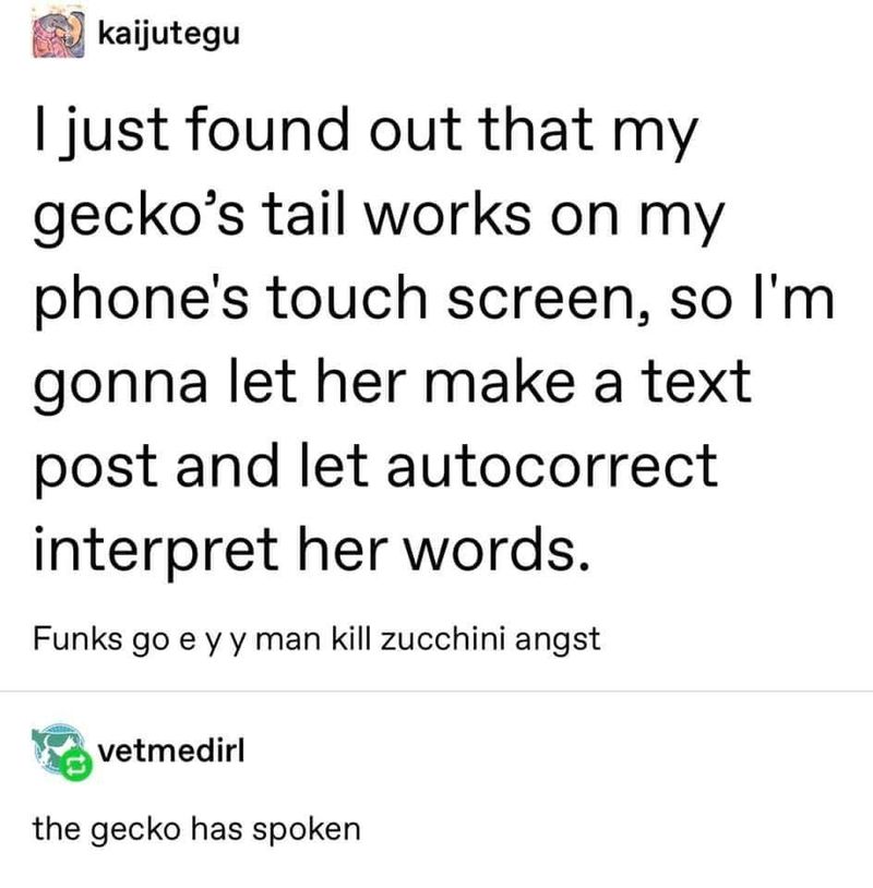 Gecko touchscreen meme