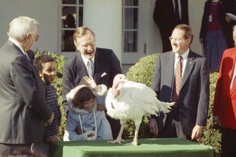 George H.W. Bush with a Thanksgiving turkey
