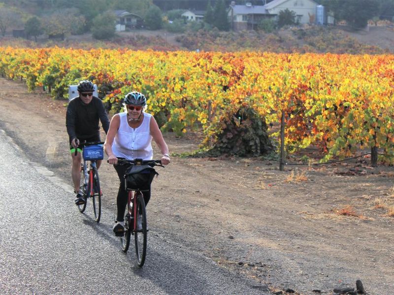 Getaway Adventures wine and bike tour