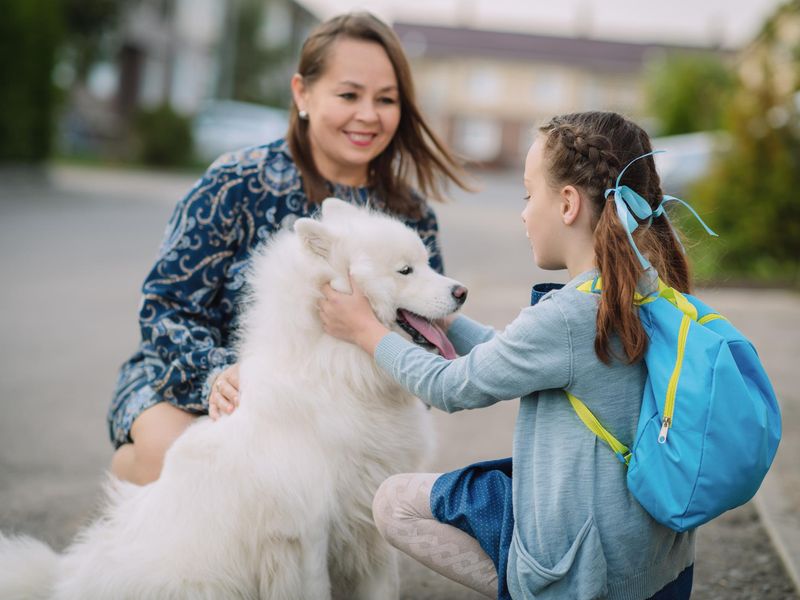 Girl happy to see her dog at school