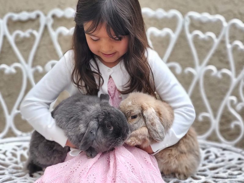 Girl holding bunnies