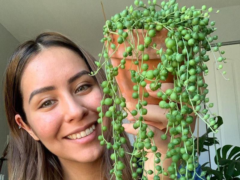 Girl holding string of pearls plant
