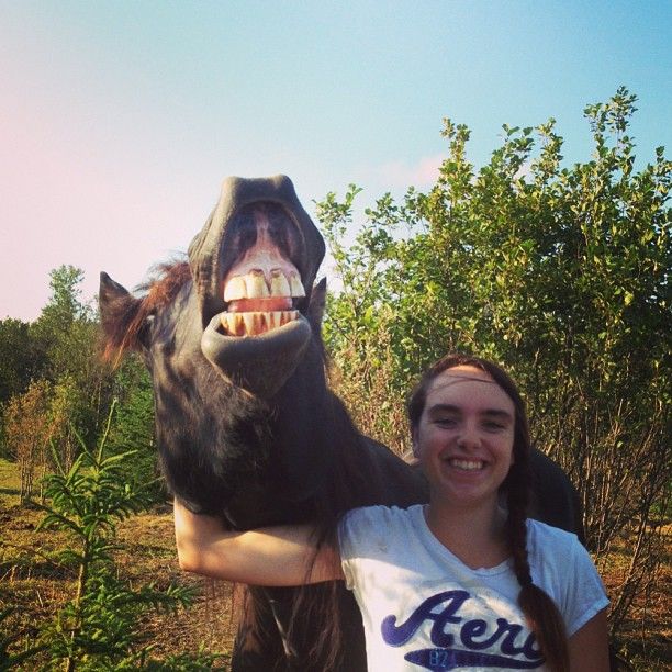 Girl Smiling With Horse