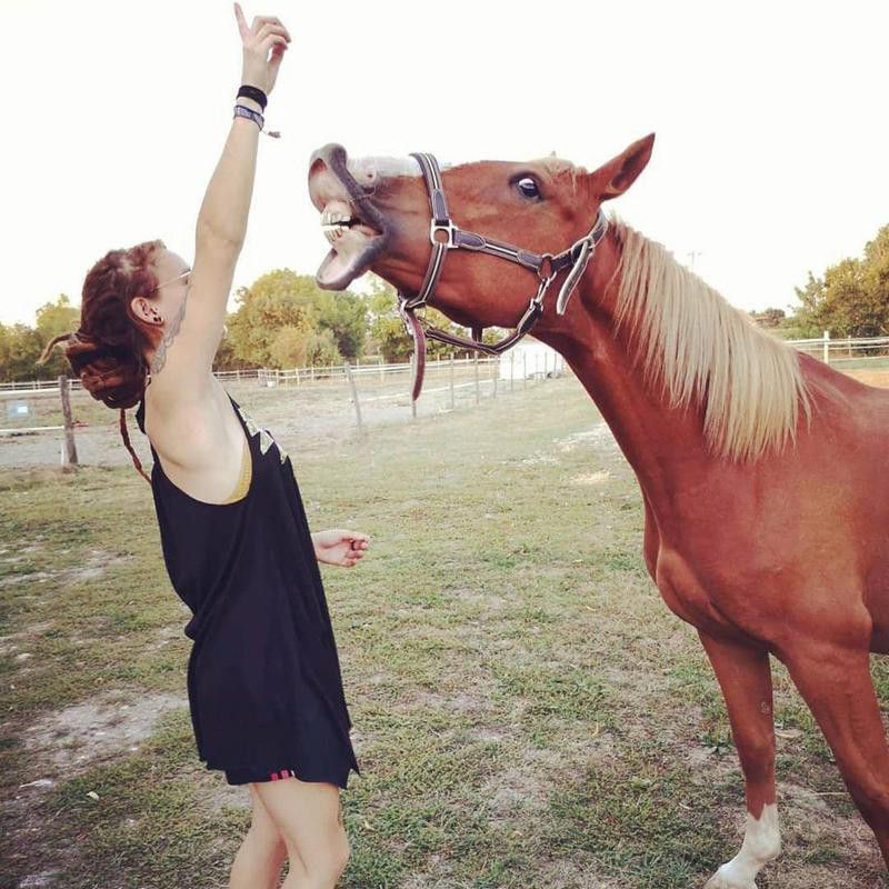 Girl Training Horse to Smile
